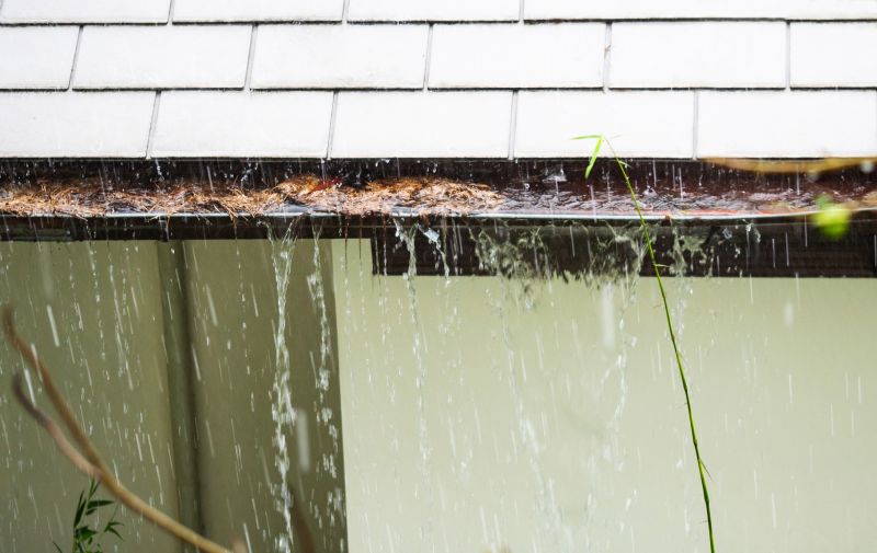 Downspout Blockage Removal in Richmond, VA