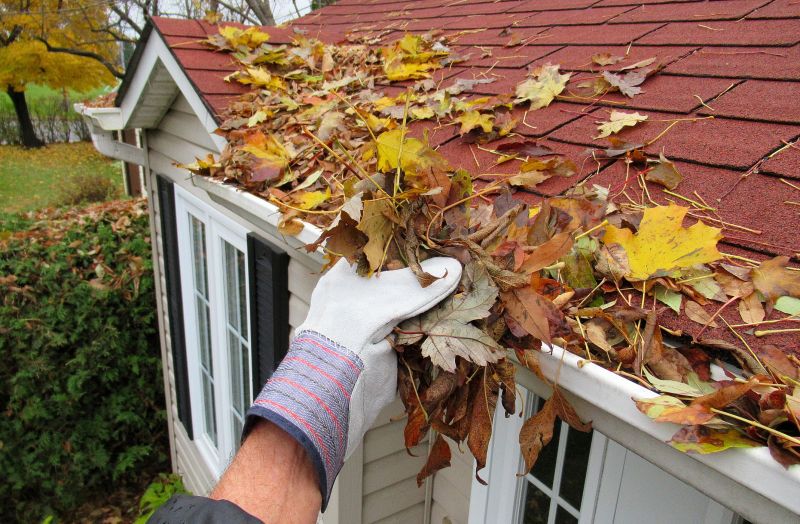 Gutter Blockage Removal in Boulder, CO
