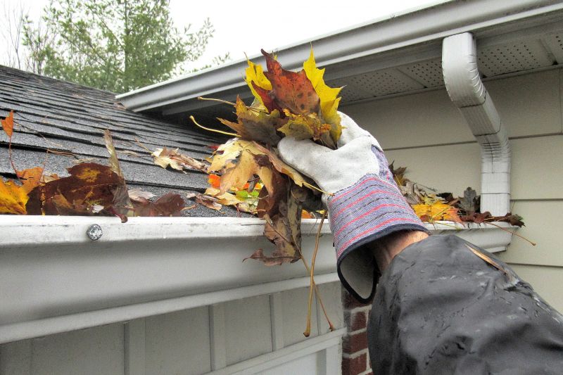 Gutter Cleaning in Arvada, CO