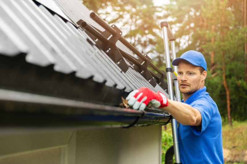 Gutter Cleaning in Fredericksburg, VA