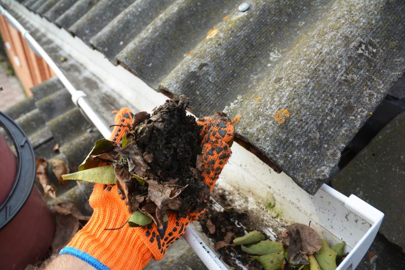 Gutter Cleaning in Rochester, NY