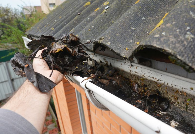 Gutter Leaf Clearing in Richmond, VA