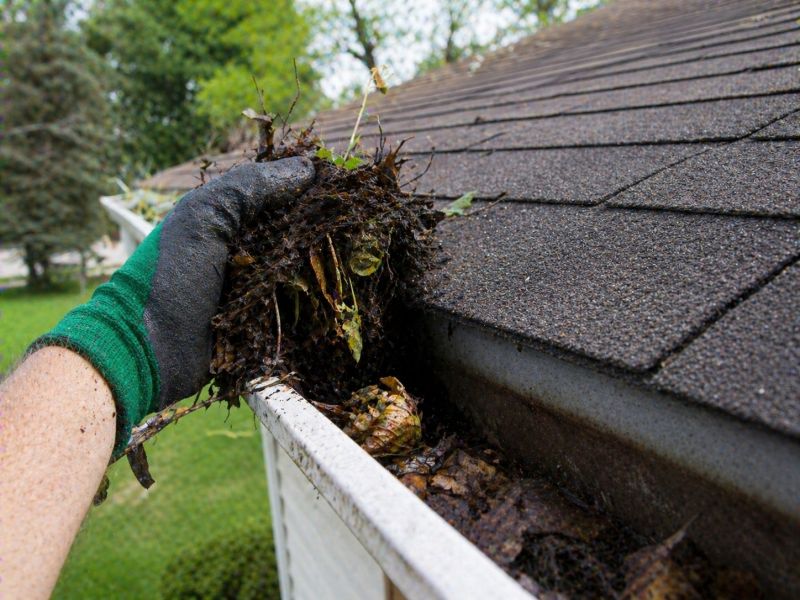 Gutter Leaves Removal in Annapolis, MD