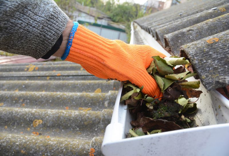 Gutter Leaves Removal in Boulder, CO