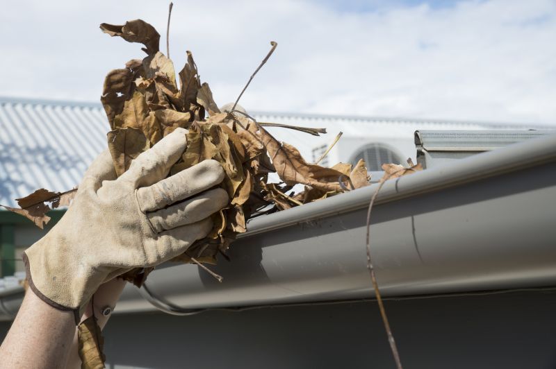 Gutter Pine Needle Removal in Richmond, VA