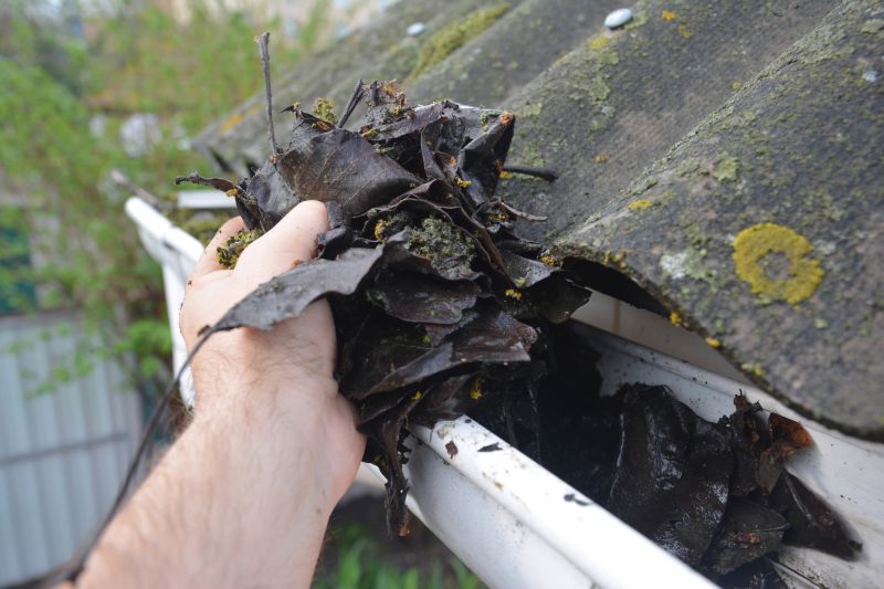 Gutter Pine Needle Removal in Pittsburgh, PA