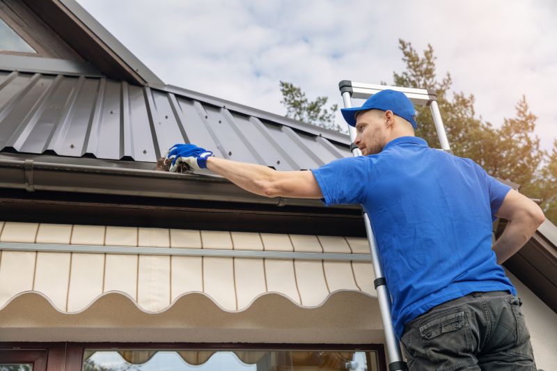 Roof Gutter Cleaning in Pittsburgh, PA